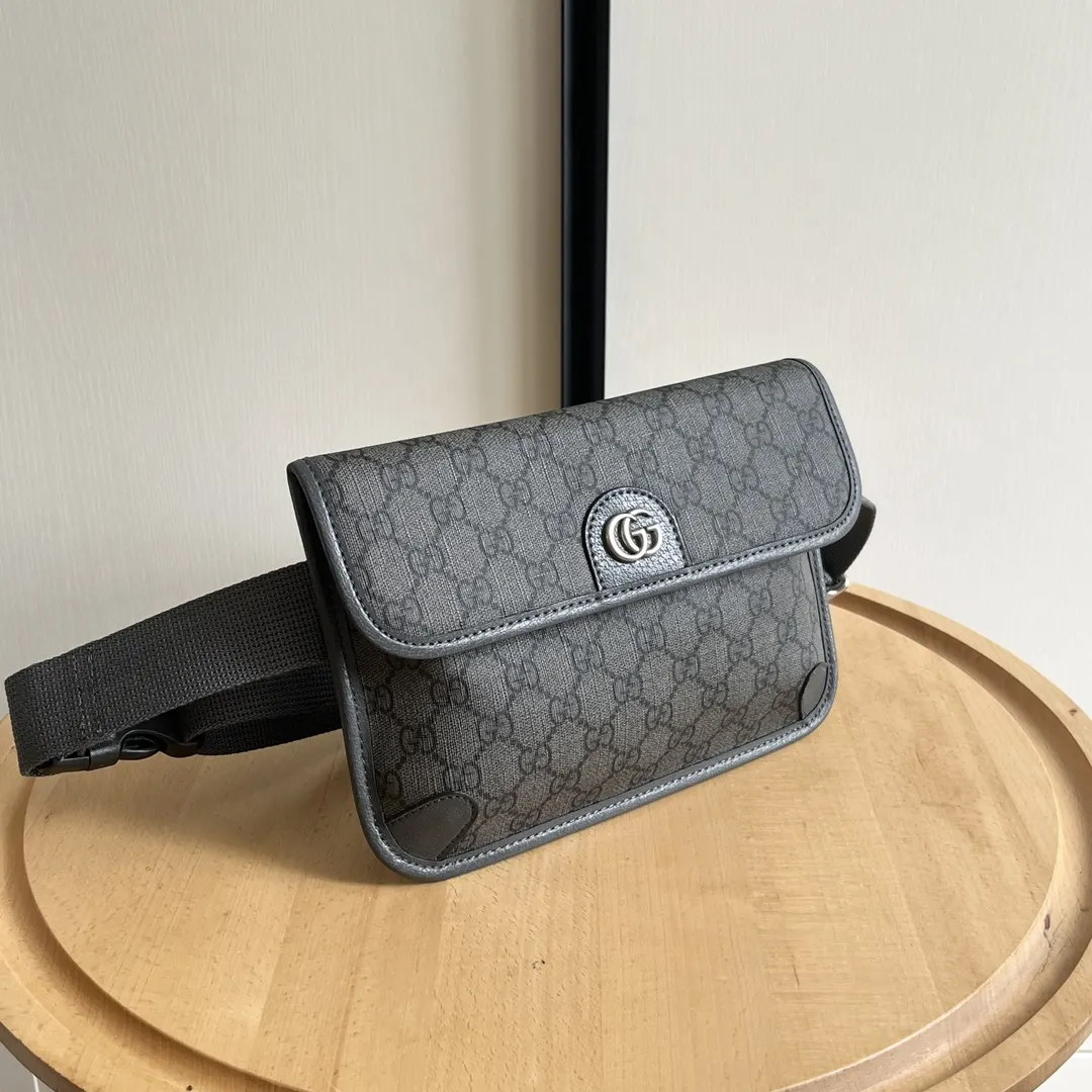 Gucci Belt Bag Casual