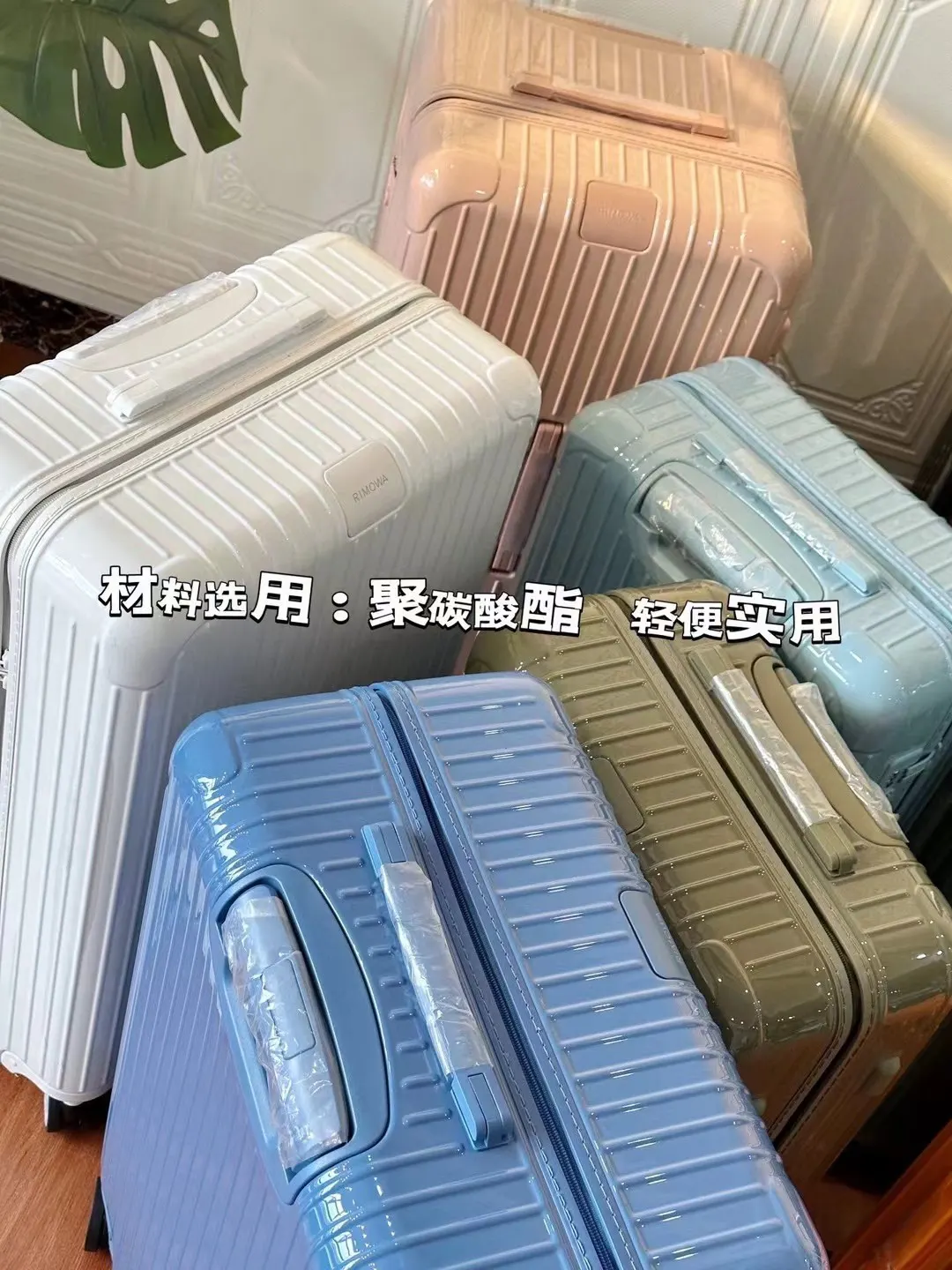 黑色 白色 Essential 系列 原Salsa的 行李箱 旅行拉杆款 輕便出行款