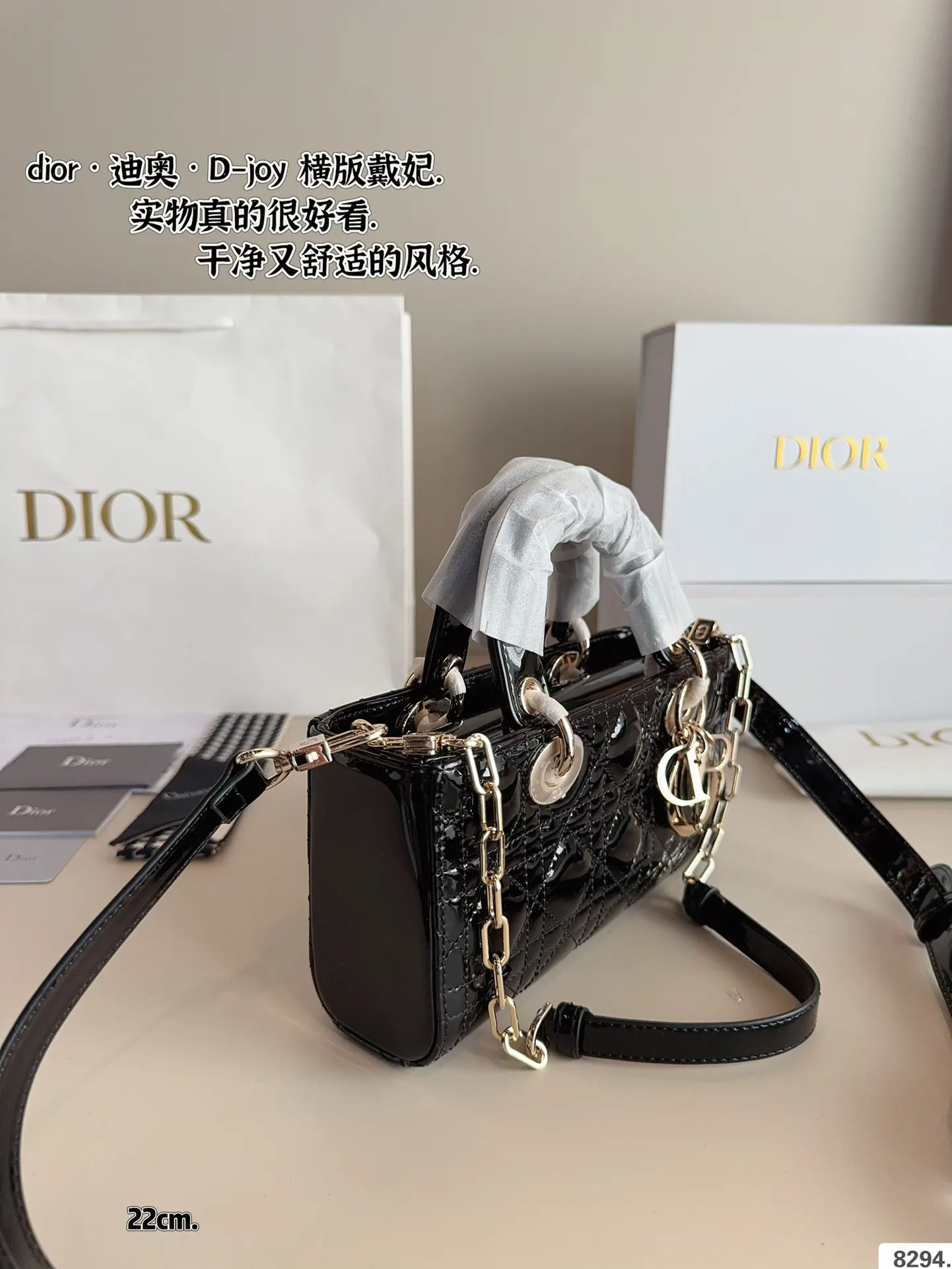 Dior 漆皮 全套 戴妃 横版 漆皮纹 夏日必备单 斜背包 輕便斜挎款