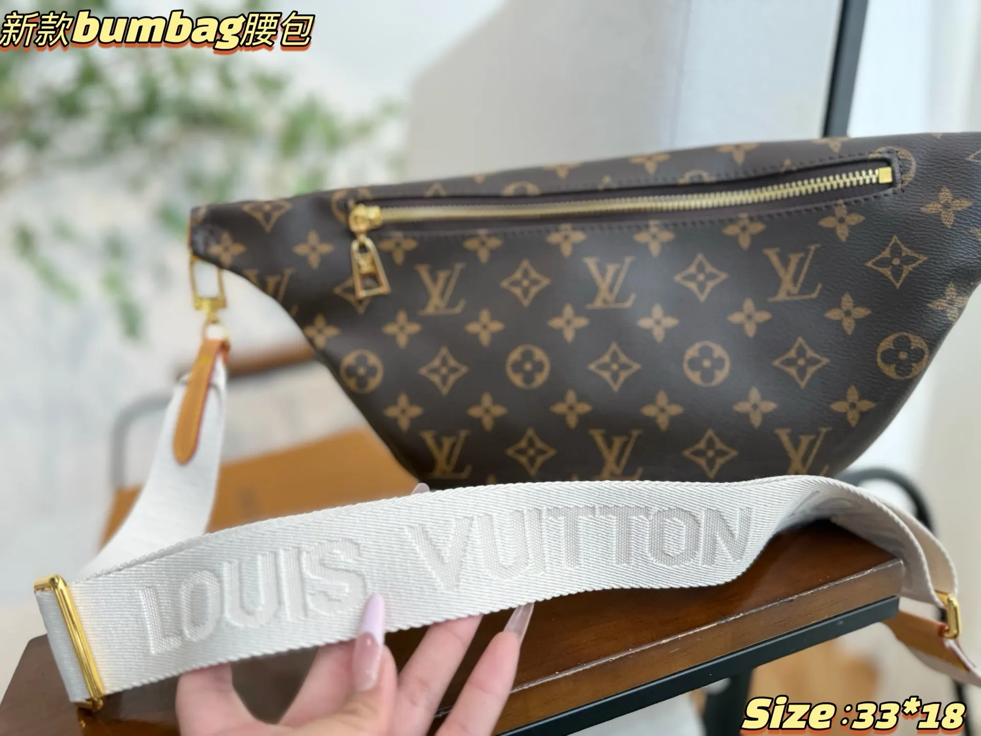 Louis Vuitton Belt Bag Casual