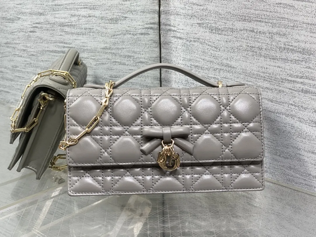 Dior 灰色 皮革 手拿包