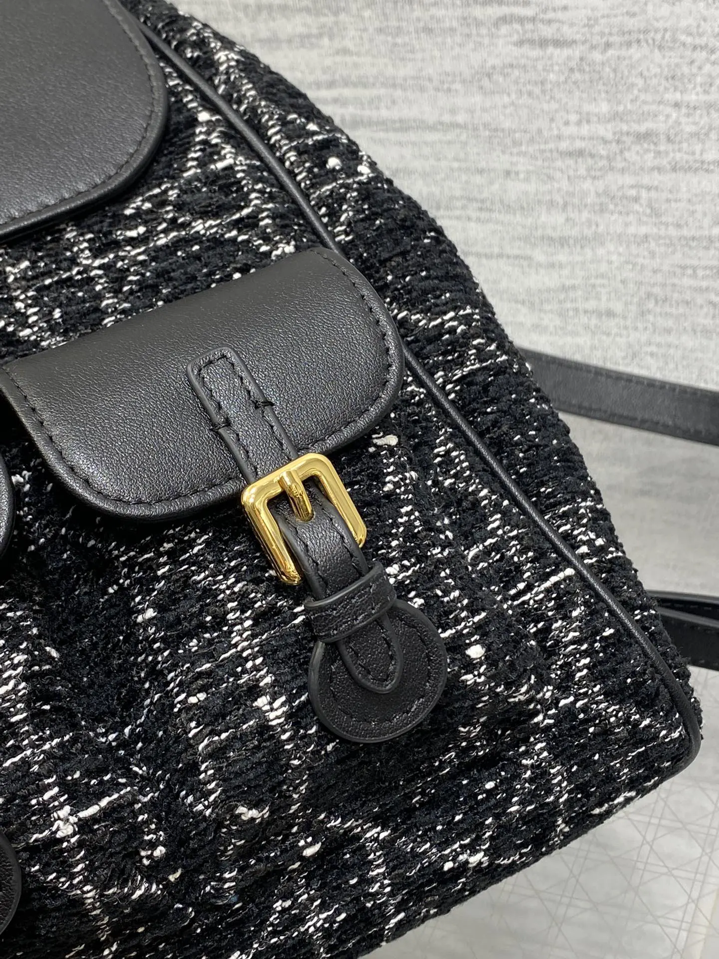 Dior Gold Backpack