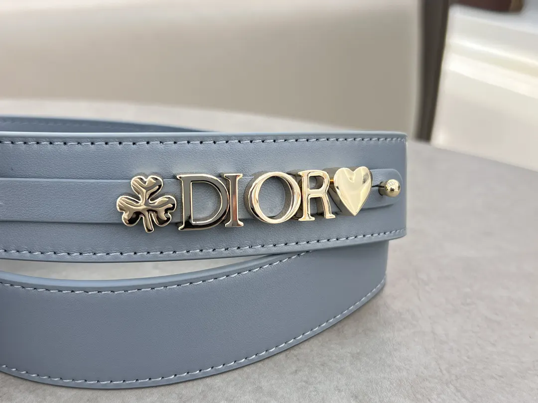 Dior Lady Dior 蓝灰色羊皮手提斜挎包 小号款