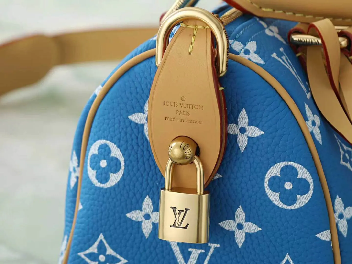 LV Speedy blue yellow color scheme handbag Image 7 LV Speedy blue yellow color scheme handbag Image 7
