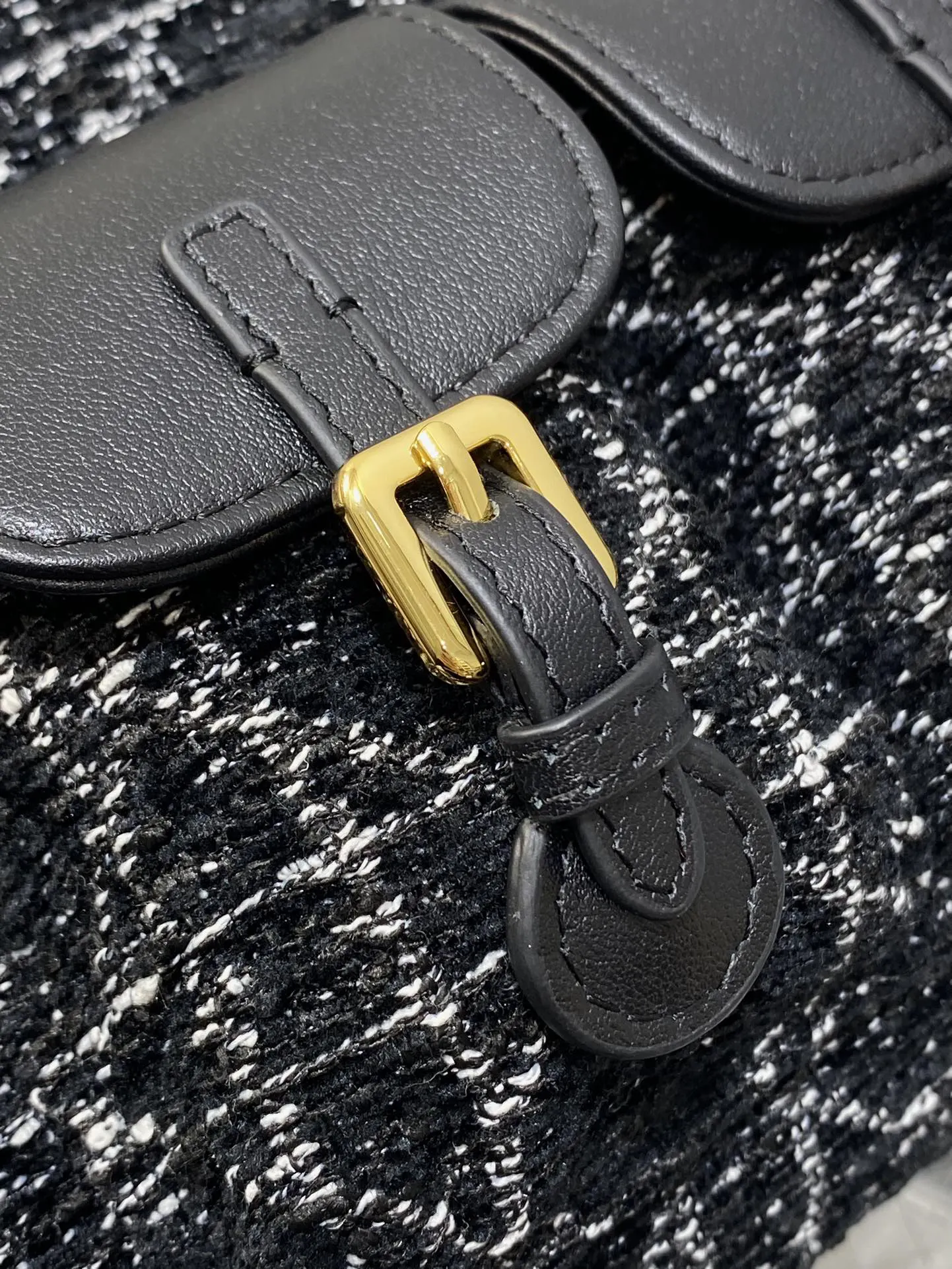 Dior Gold Backpack