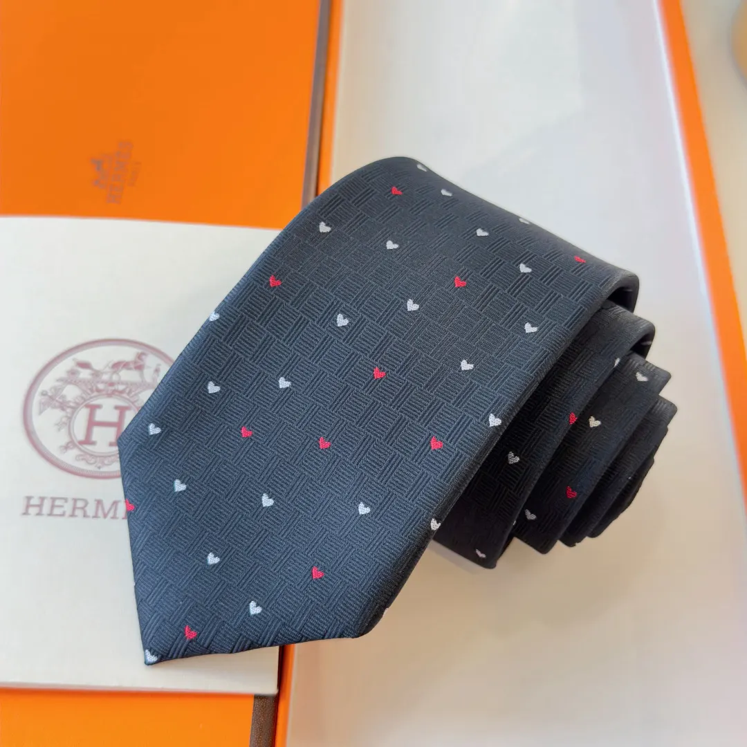Hermès 领带 精致配饰