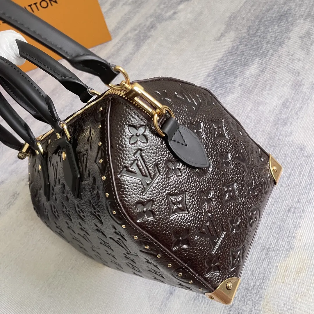 LV Speedy 牛皮 收納包 旅行收納款