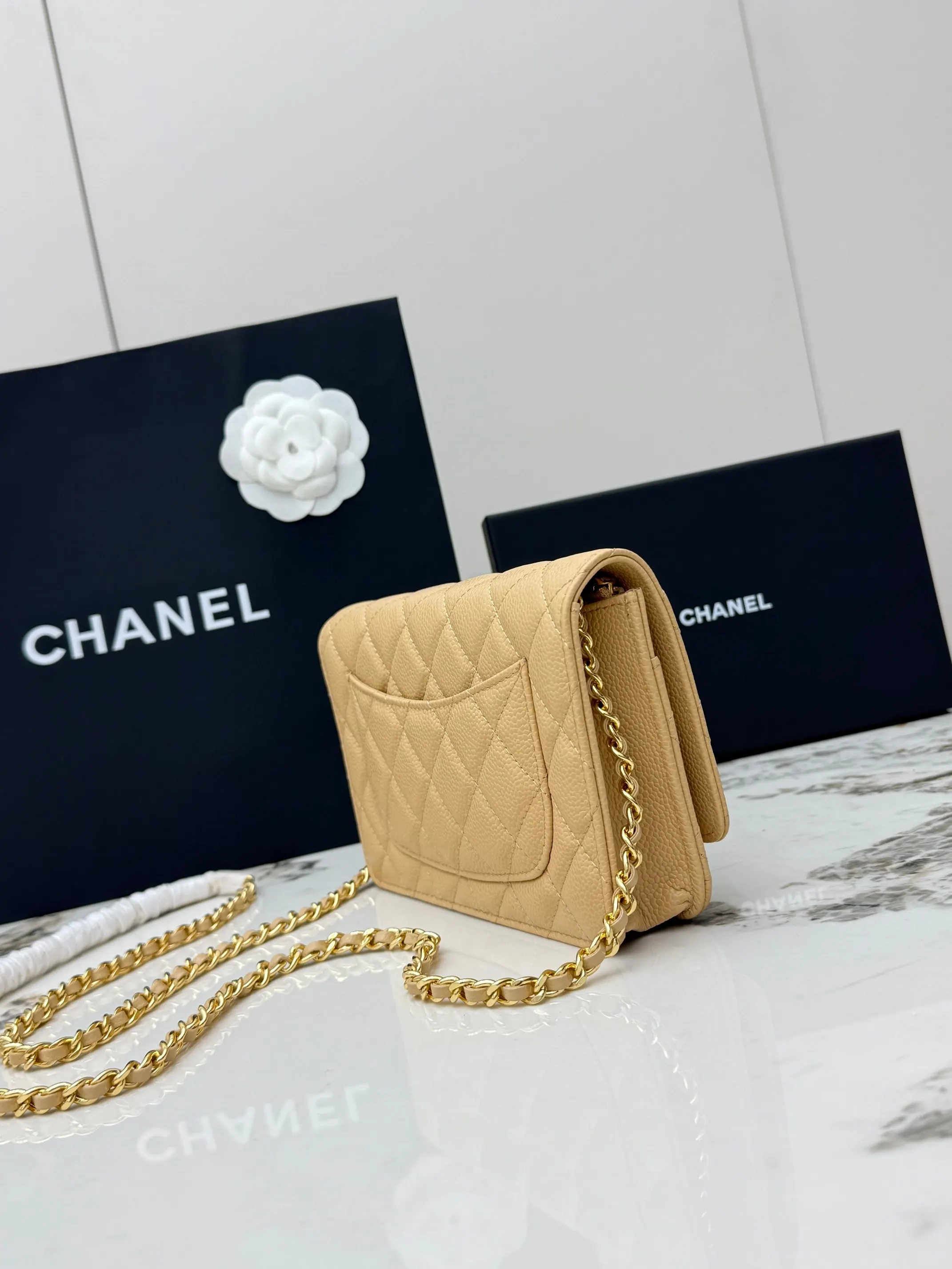 Chanel Chain Bag Leather