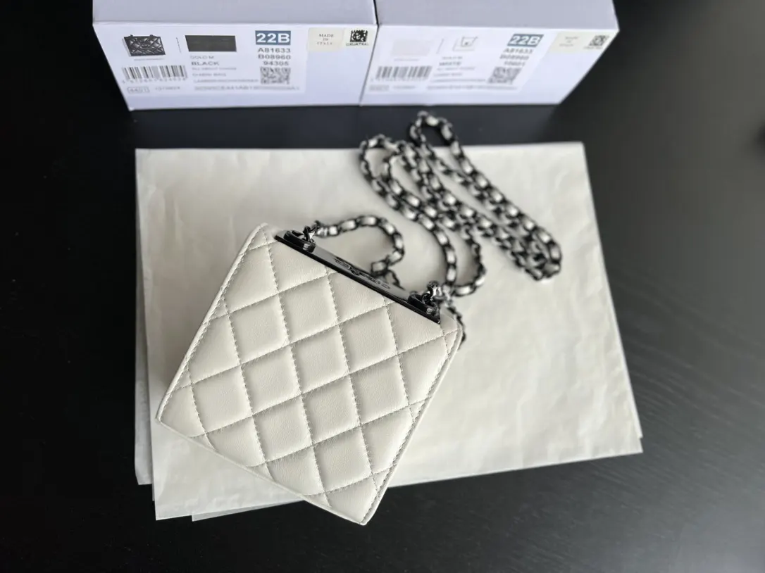 Chanel 22 白色/黑色 皮革 链条包