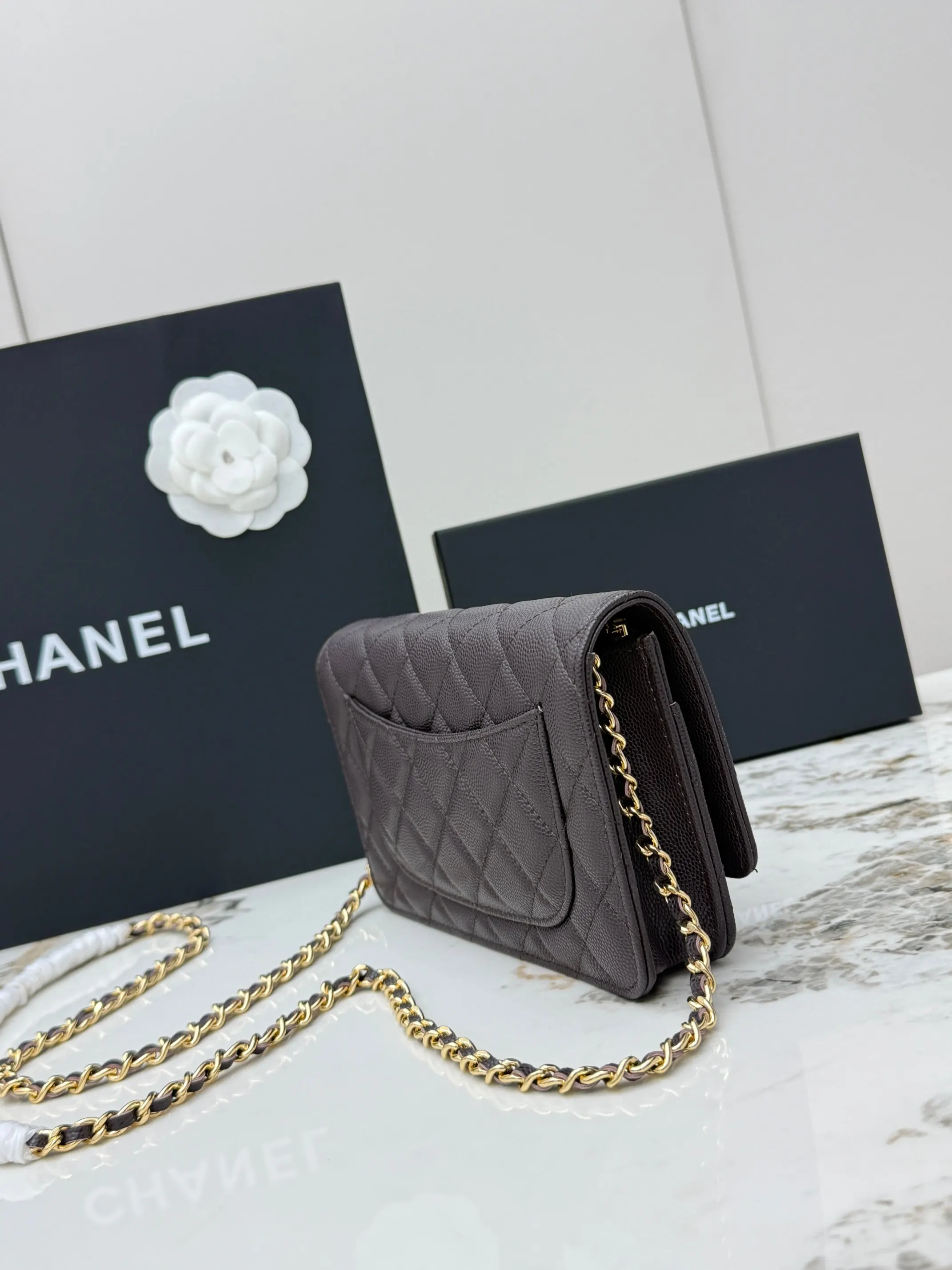 Chanel Chain Bag Leather