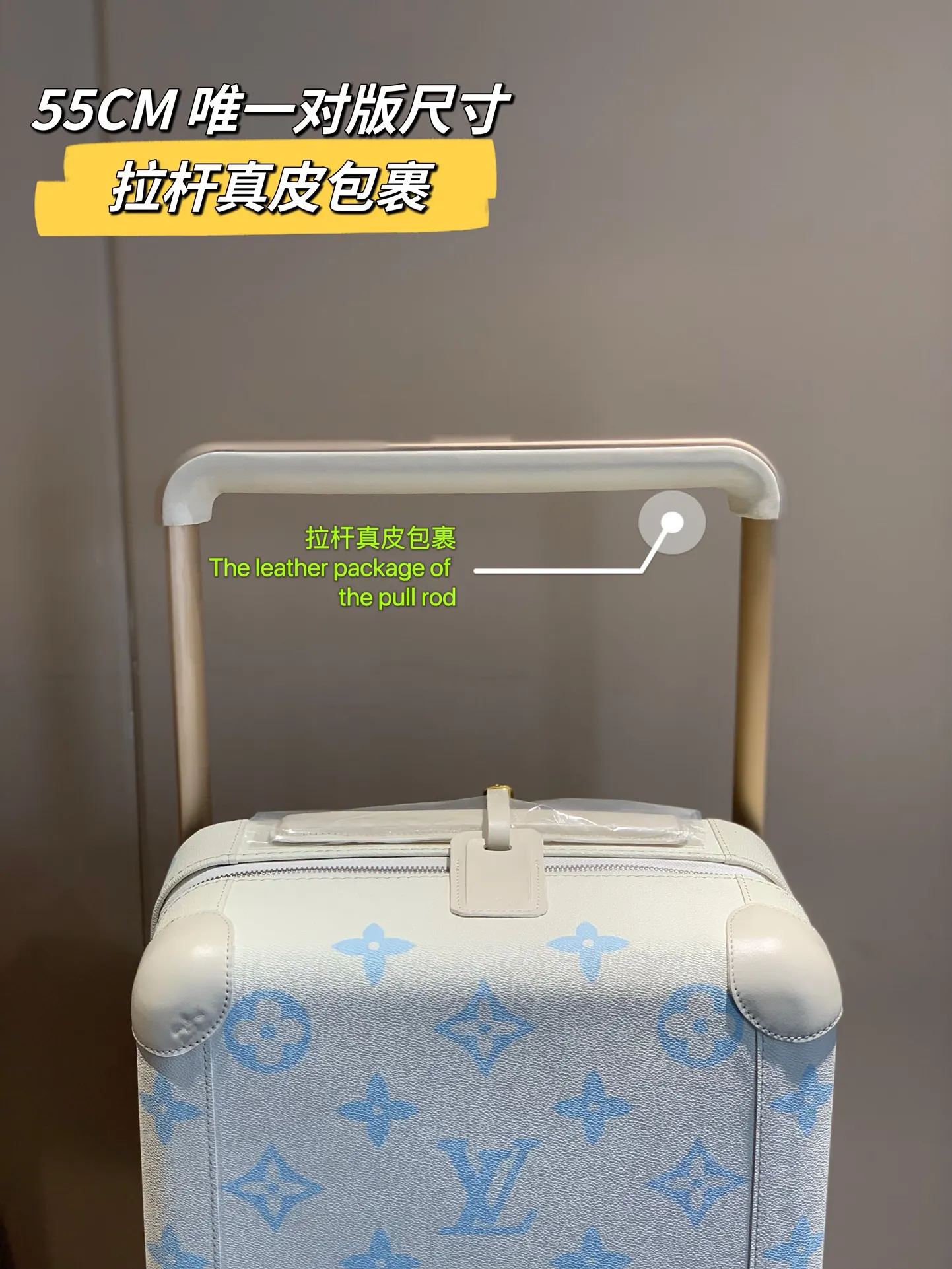 驴牌拉杆箱旅行箱 路易v 变色皮 海关锁 万向 行李箱 旅行拉杆款 轻便出行款