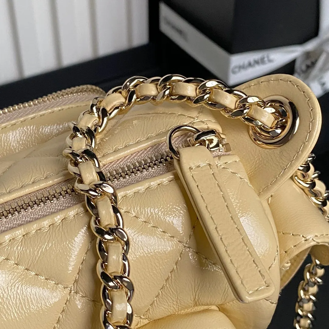 Gold Chain Bag Leather