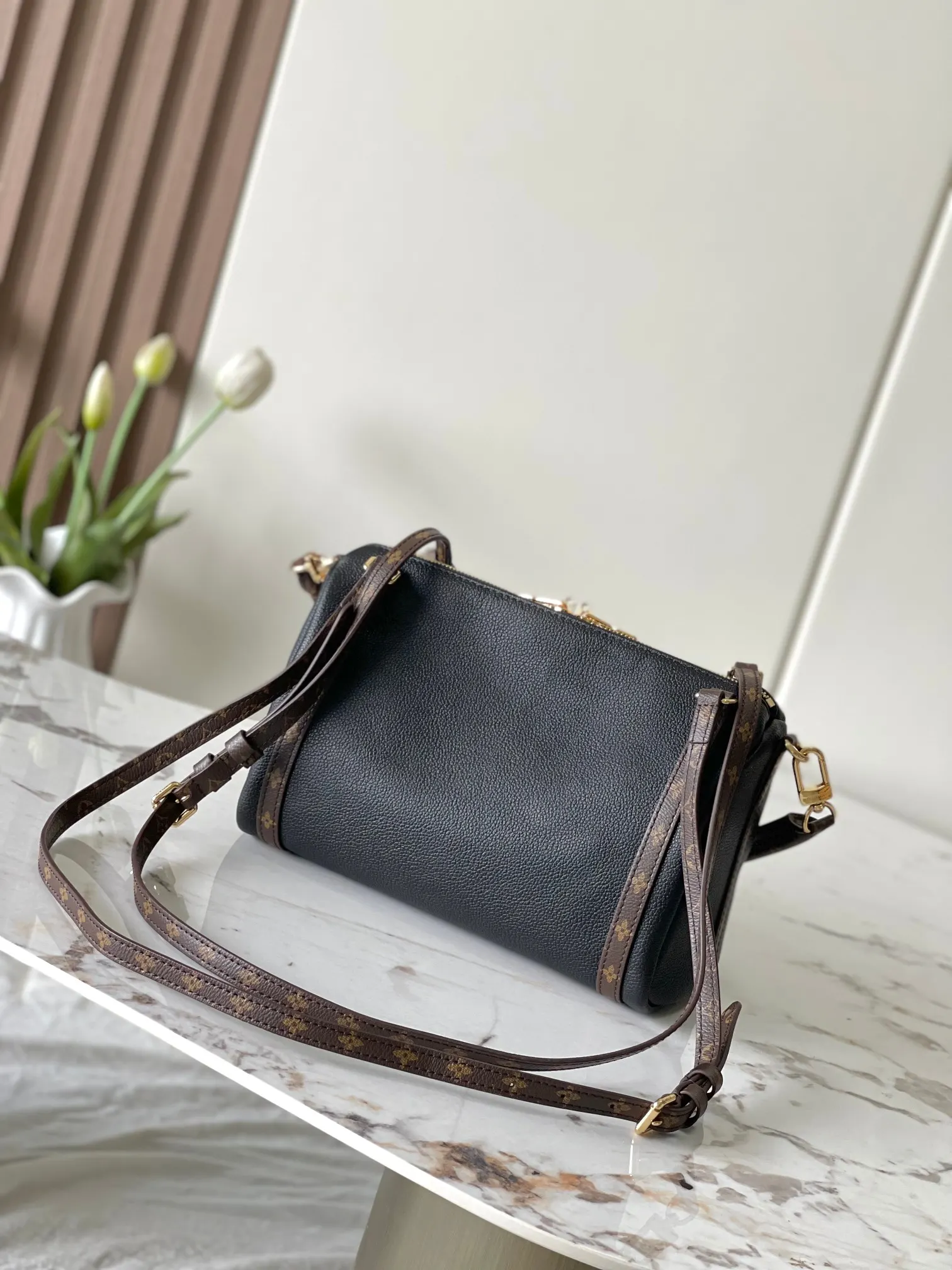 Louis Vuitton Black Fashion Item Travel Leather