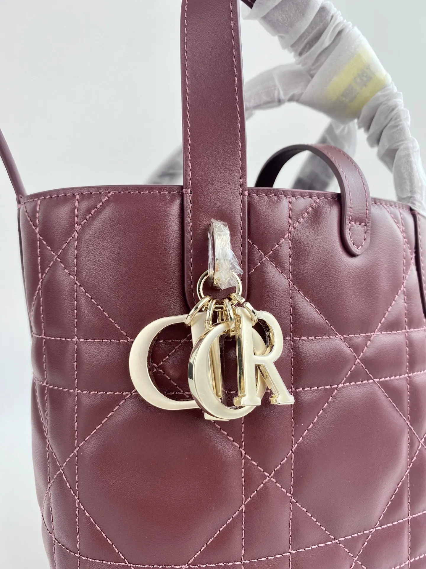 Dior Toujours 红色 皮革 手提包