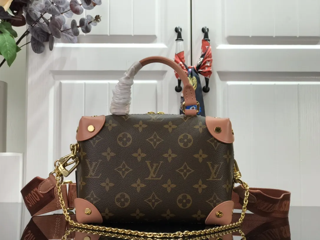 LV 帆布 详细特征 厘米 链条包 精致链条款