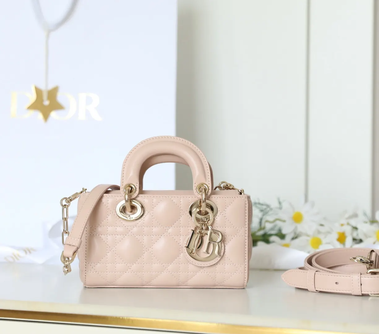 Dior Lady Dior Lady 粉色羊皮手袋 禮盒展示