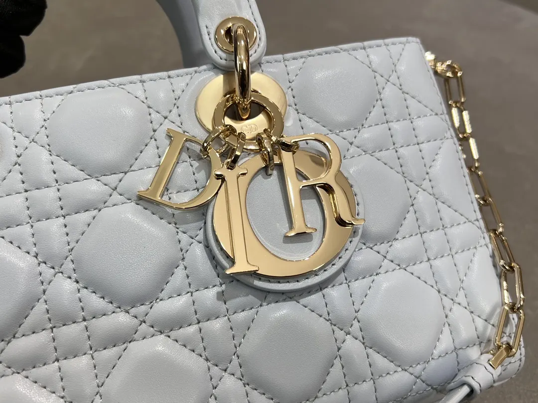 Dior Gold Chain Bag