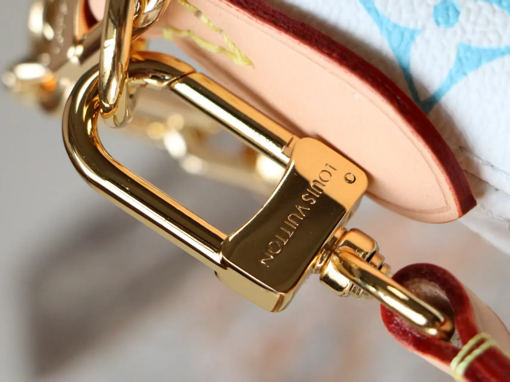 Louis Vuitton Chain Bag Canvas