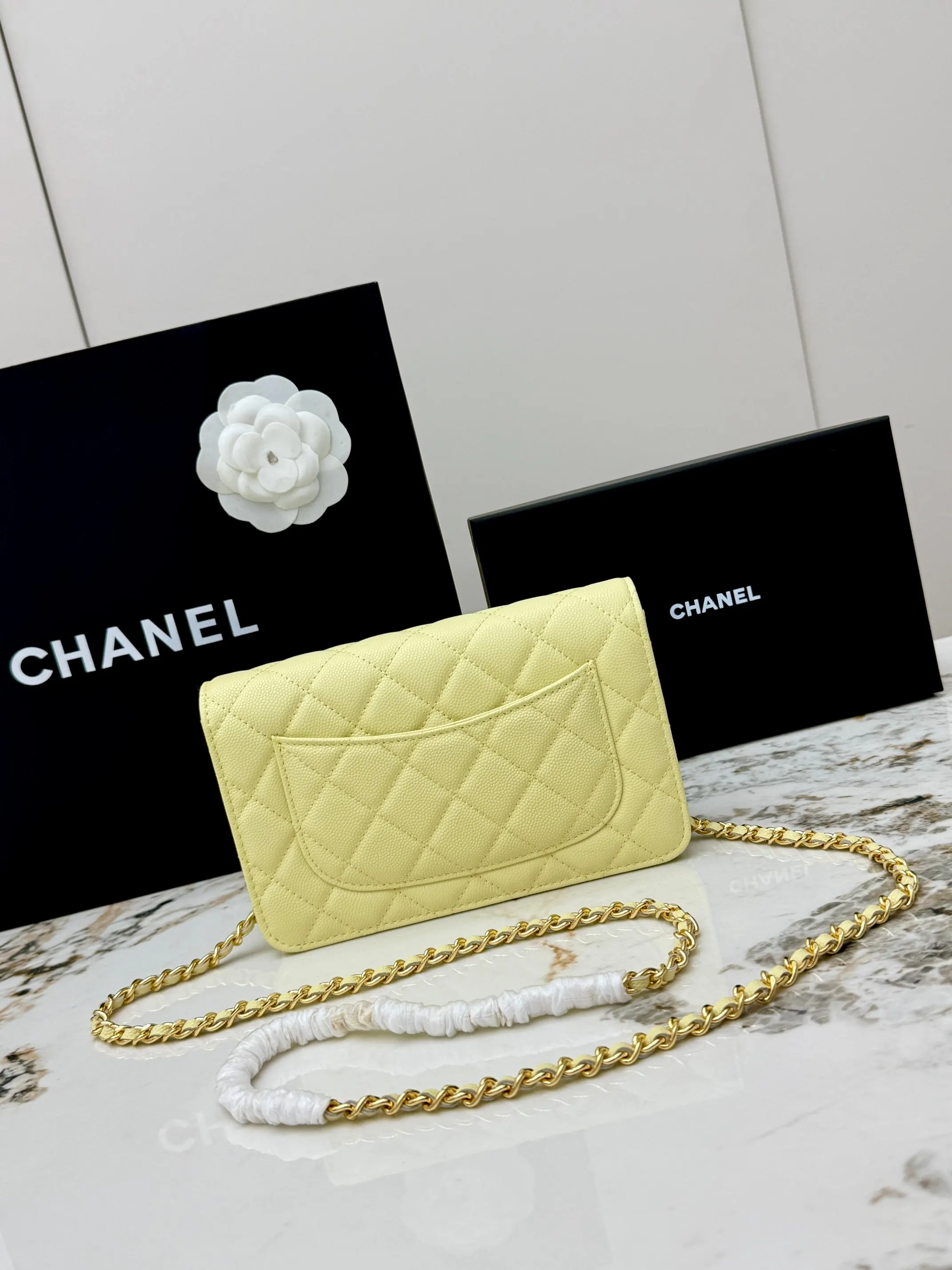 Chanel Chain Bag Leather