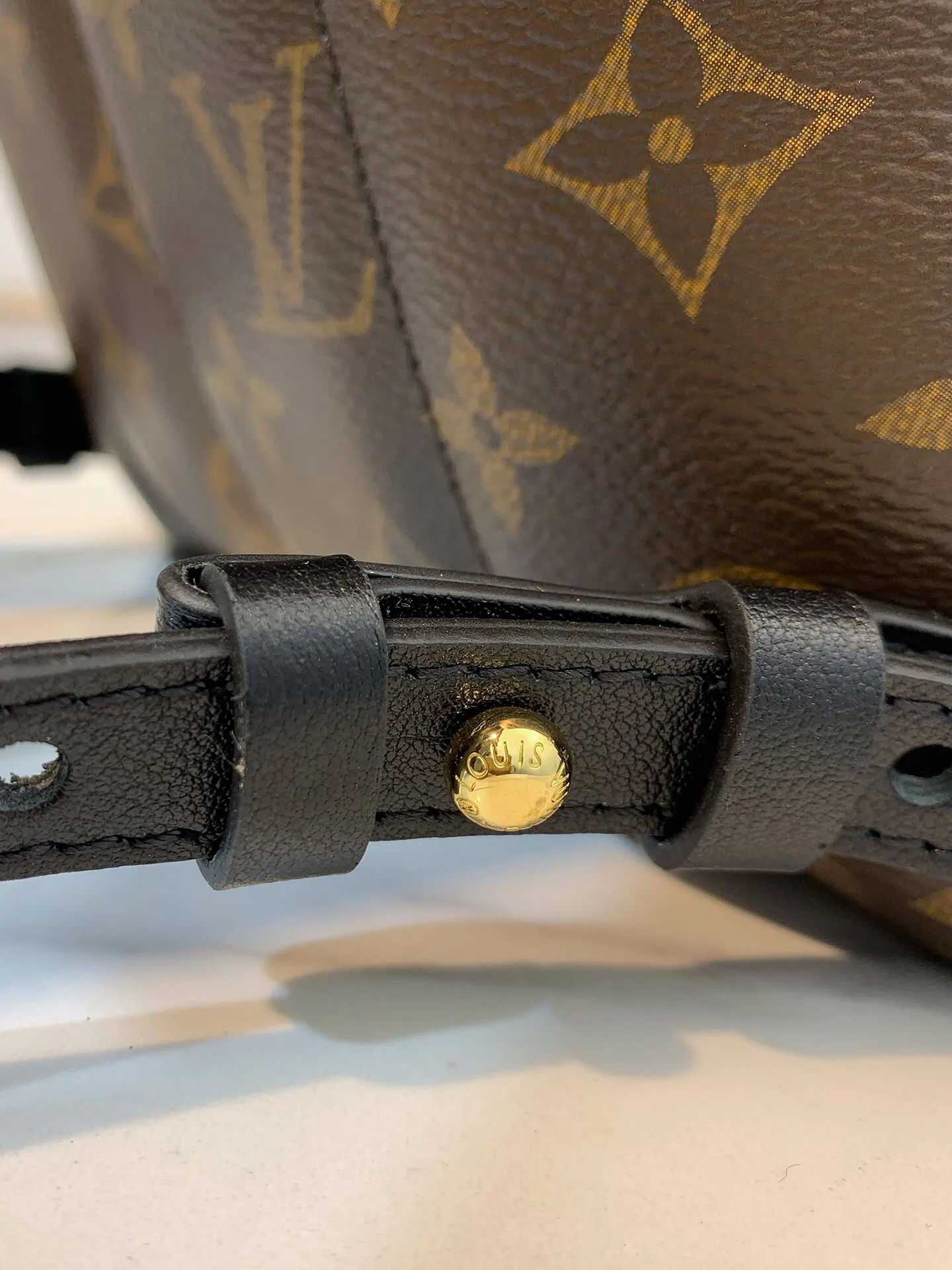 Louis Vuitton Backpack