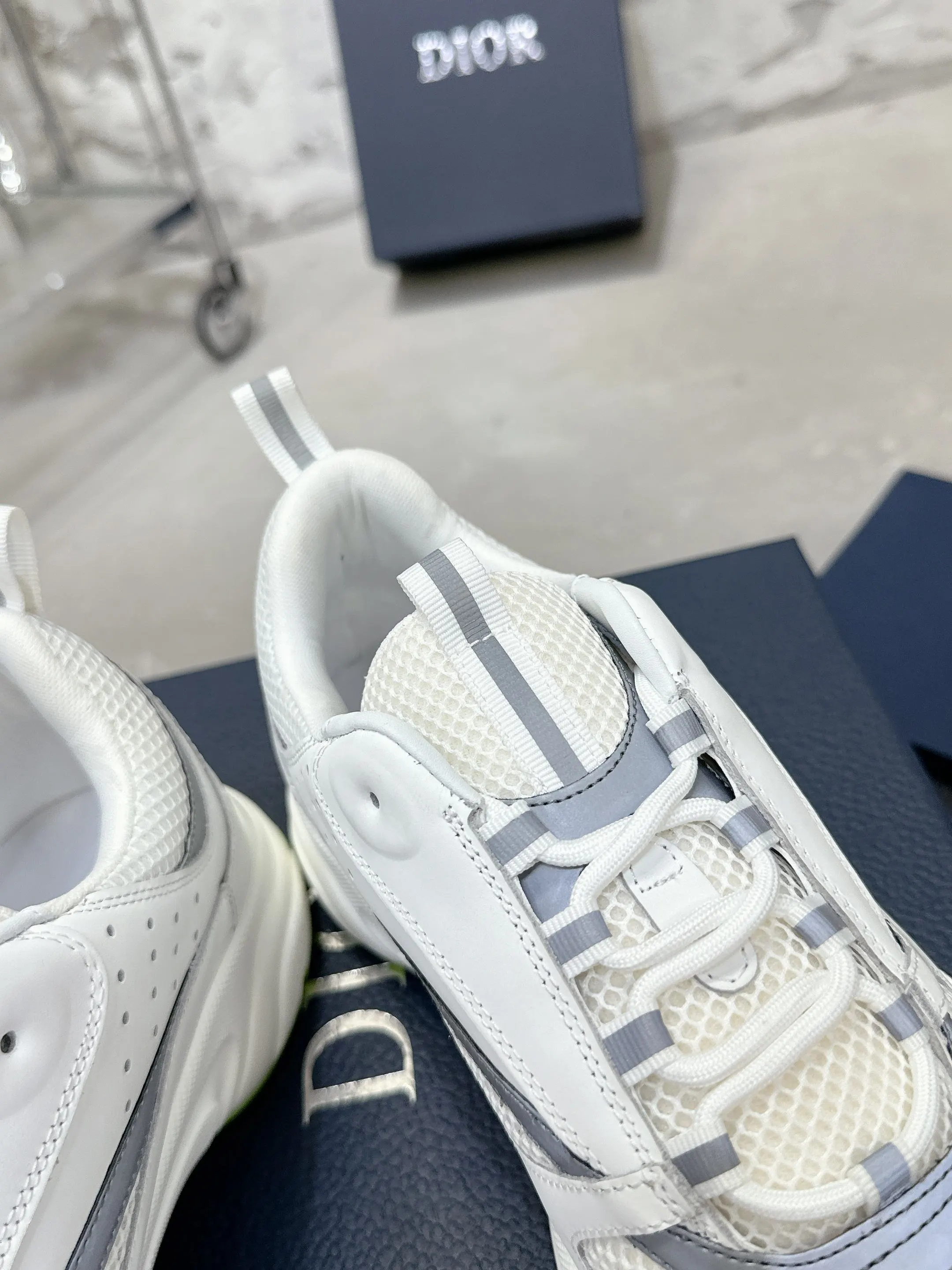 Dior B22 运动鞋