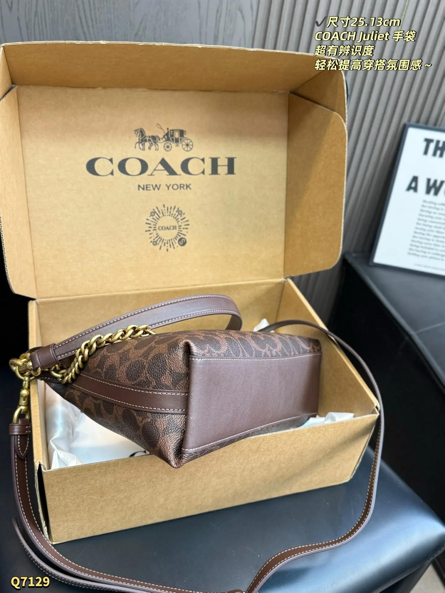 Coach 棕色 老花 尺寸 Juliet 手袋 經典 腋下包 復古腋下背款