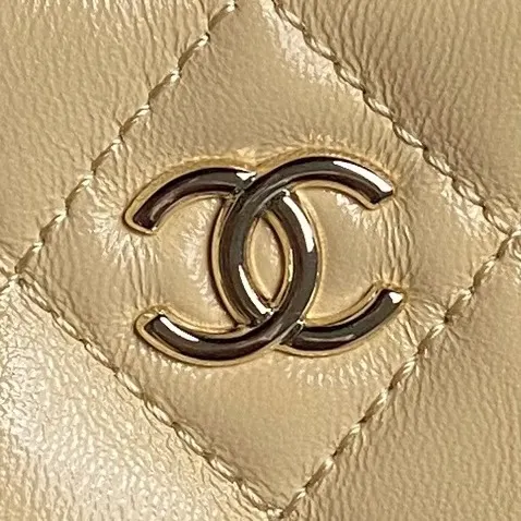Gold Chain Bag Leather