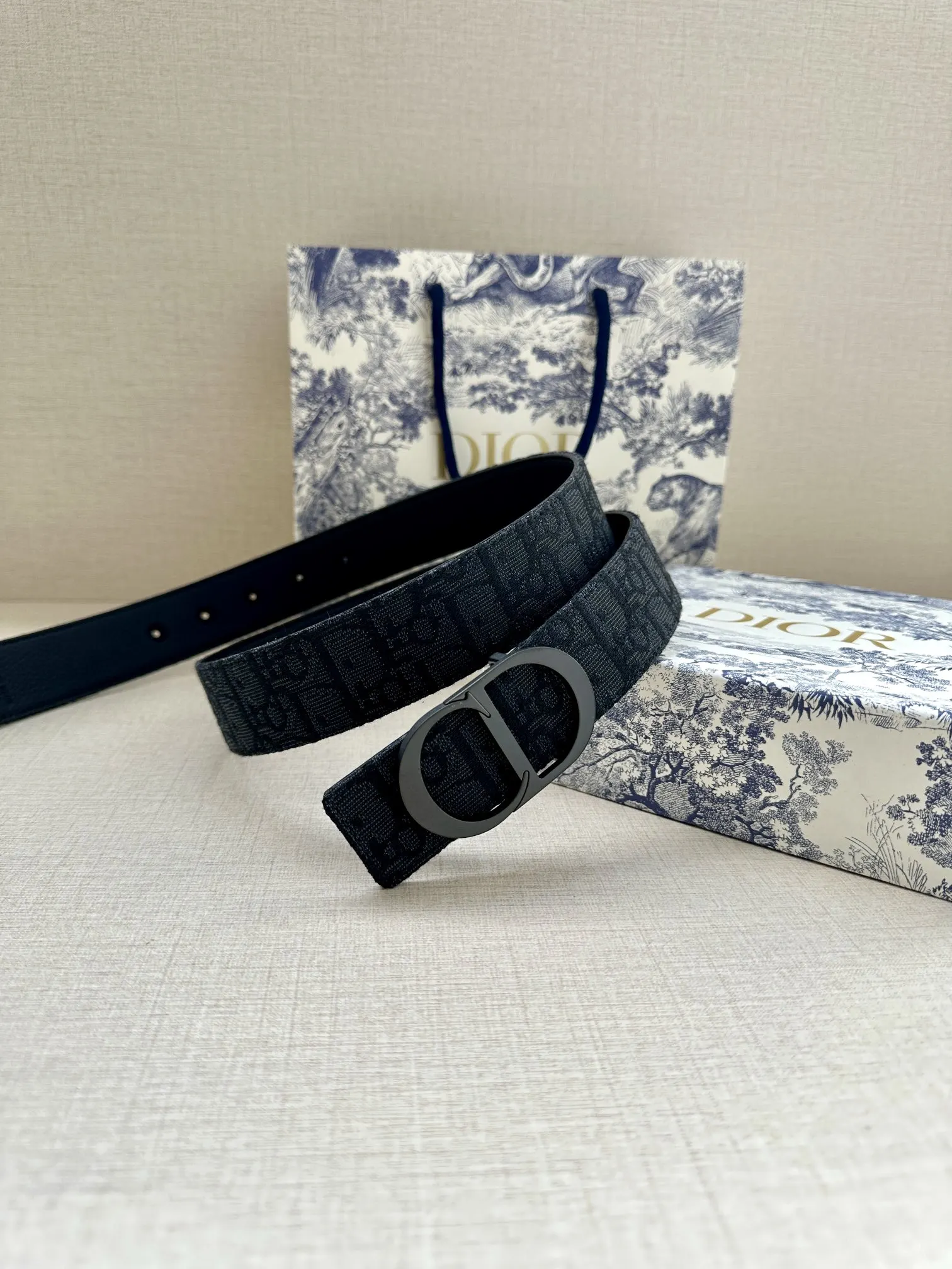 Dior 黑色Oblique腰带 黑扣款
