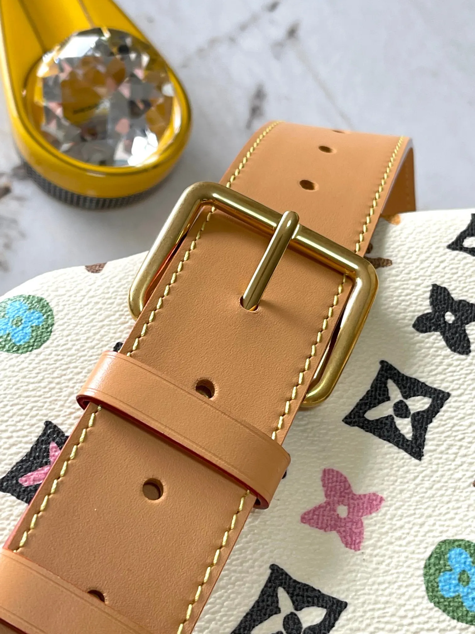 Louis Vuitton Belt Bag Casual Canvas