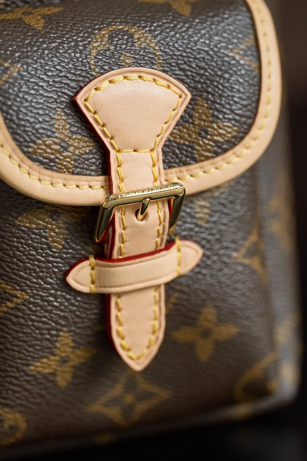 Backpack Leather