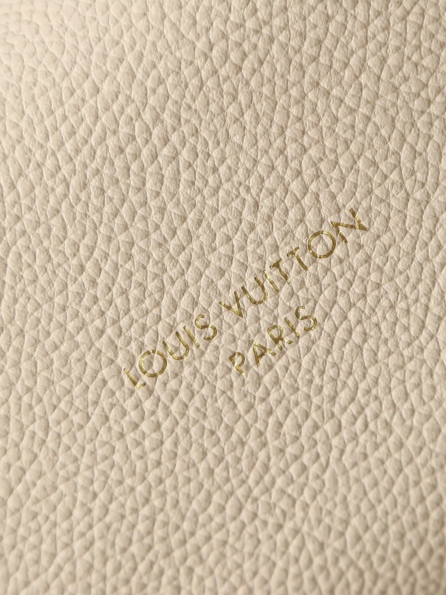 Louis Vuitton Fashion Item Travel Leather
