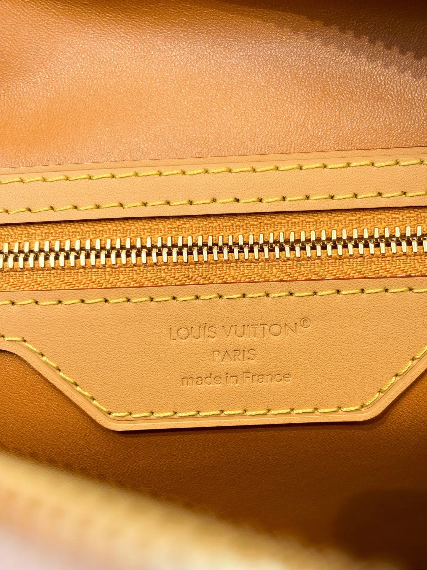 LV Speedy Mo單肩包 日常單肩背款