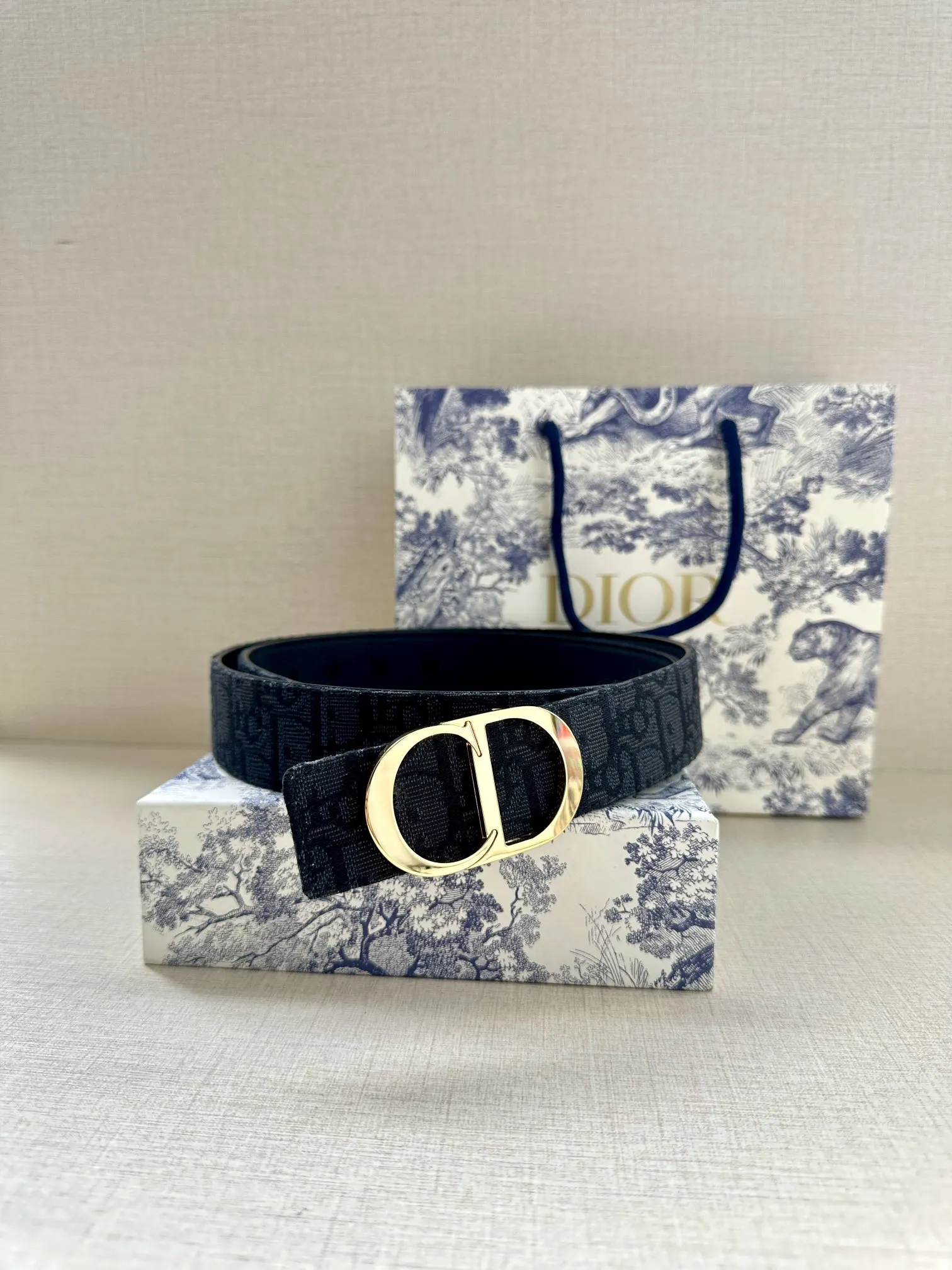 Dior Oblique 黑色/银色 腰带