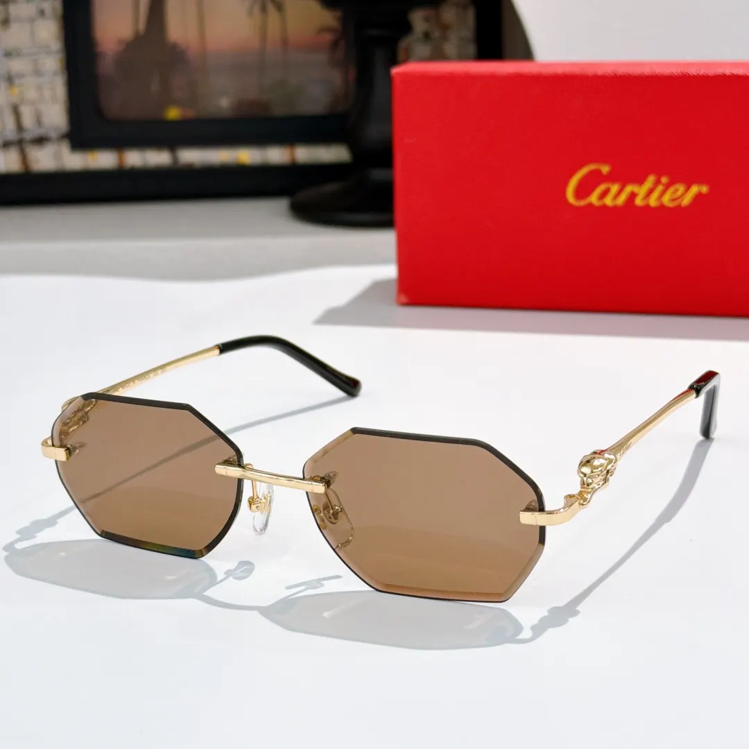 Cartier 墨镜 时尚防晒款 款20