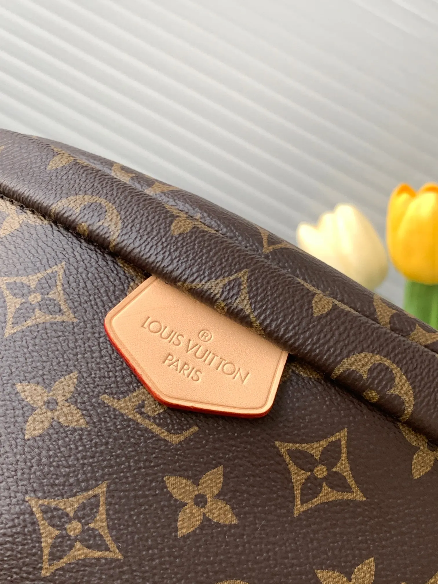 Louis Vuitton Gold Belt Bag Casual Leather