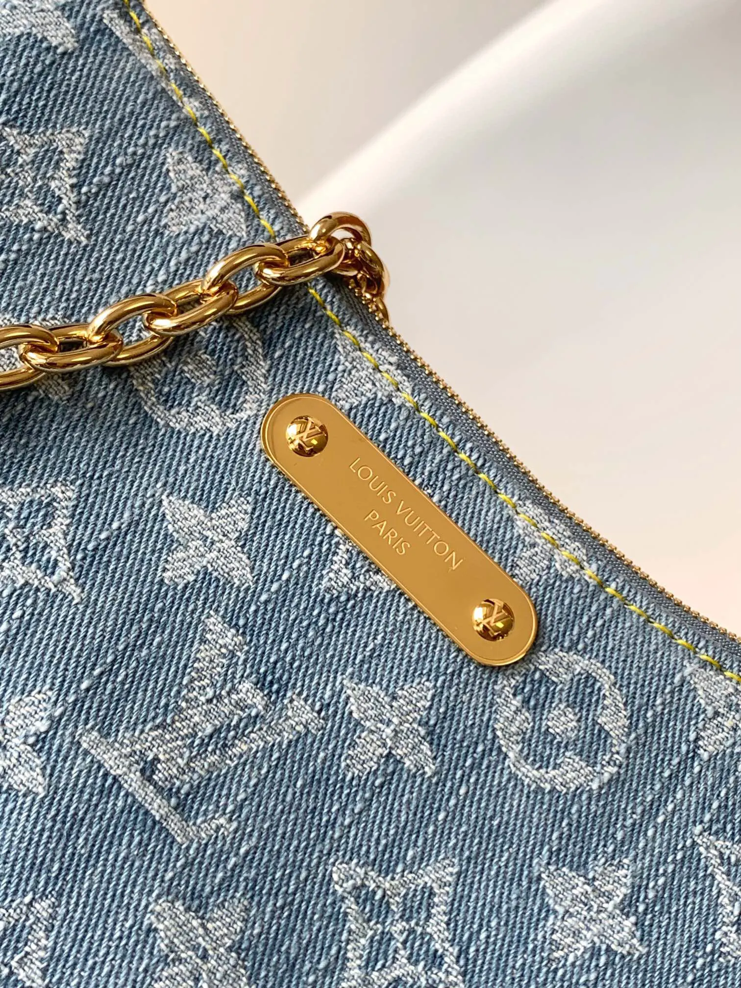 Louis Vuitton Gold Chain Bag Leather