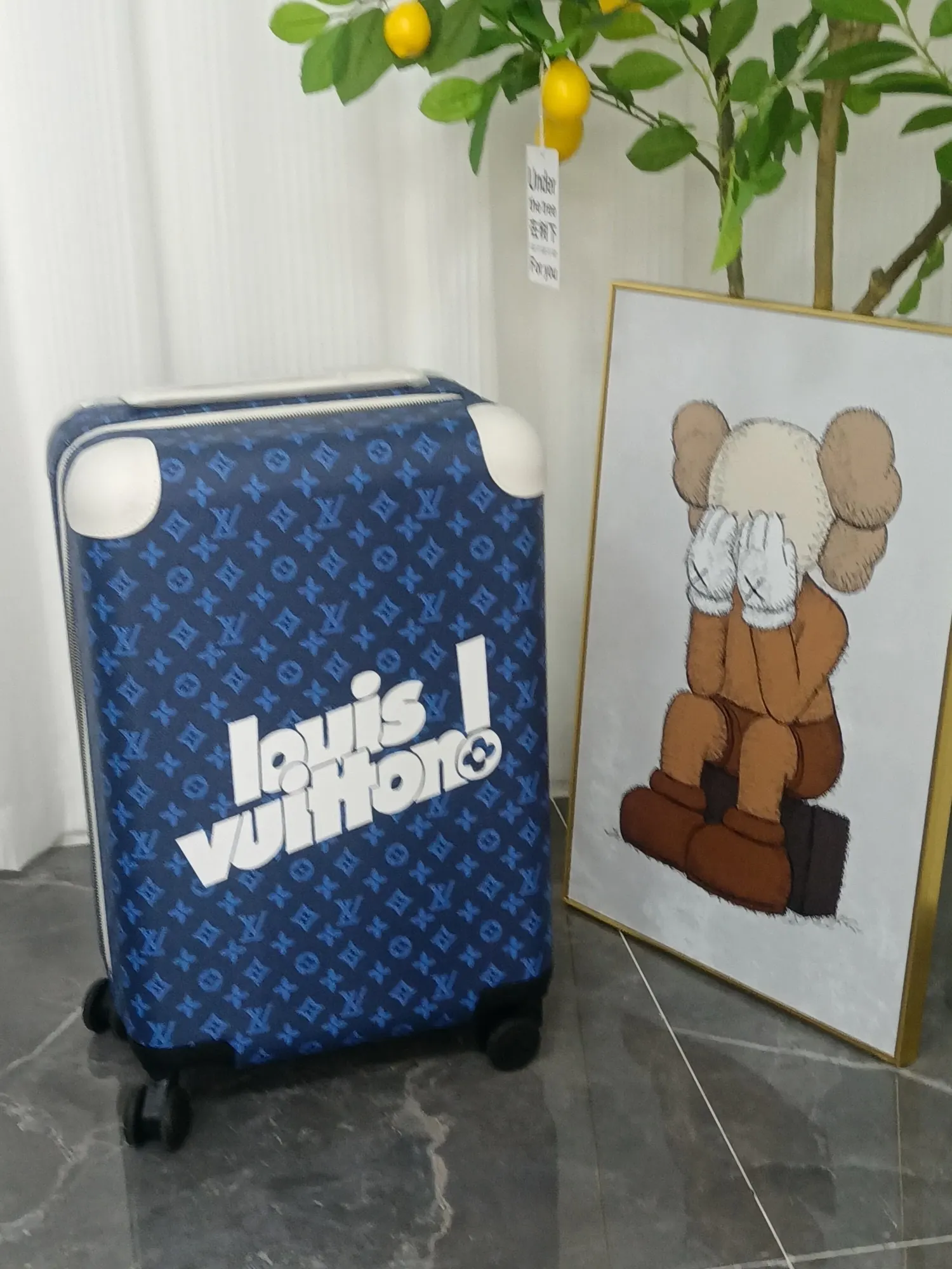 Suitcase Travel Lightweight Leather