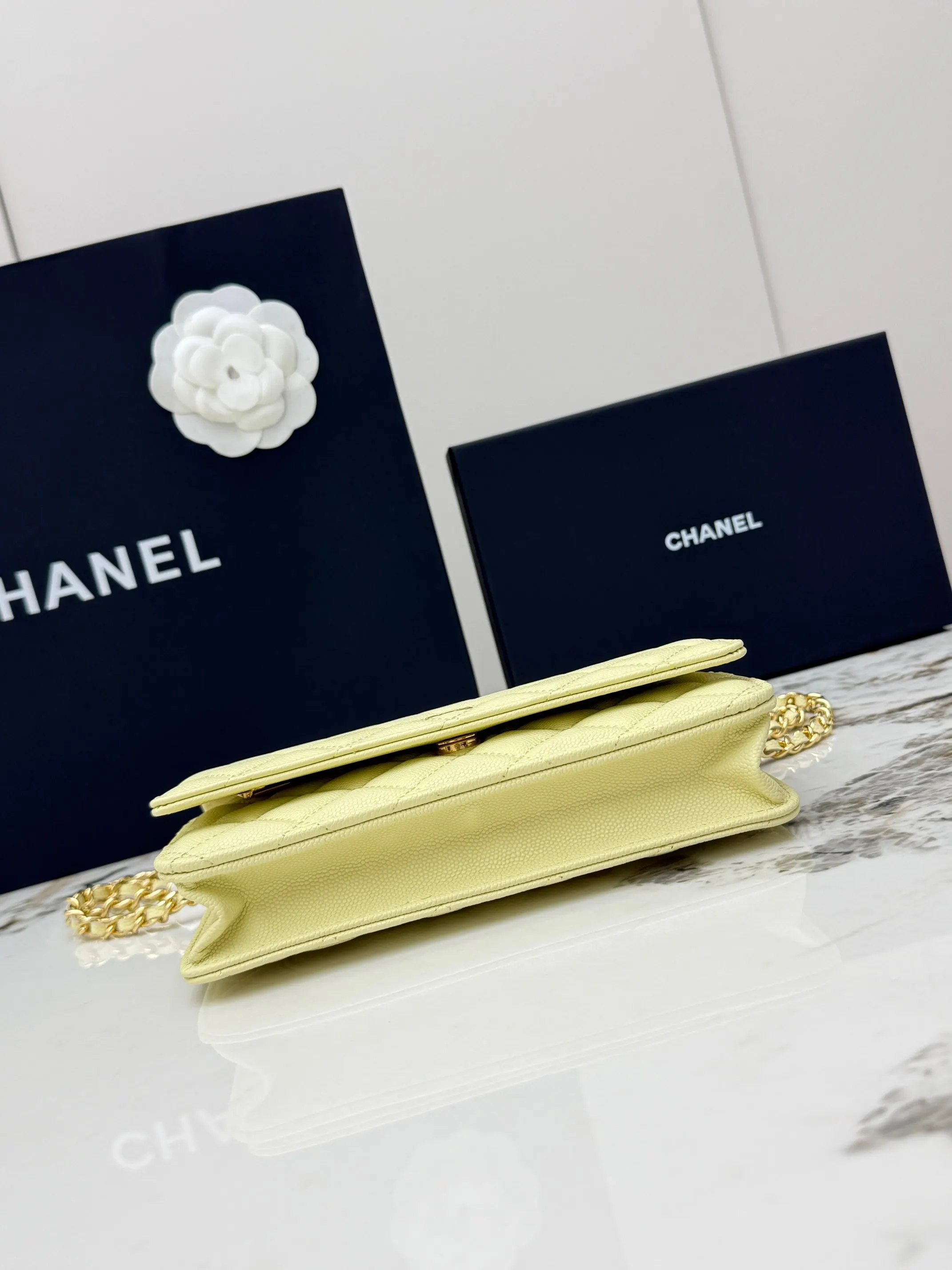 Chanel Chain Bag Leather