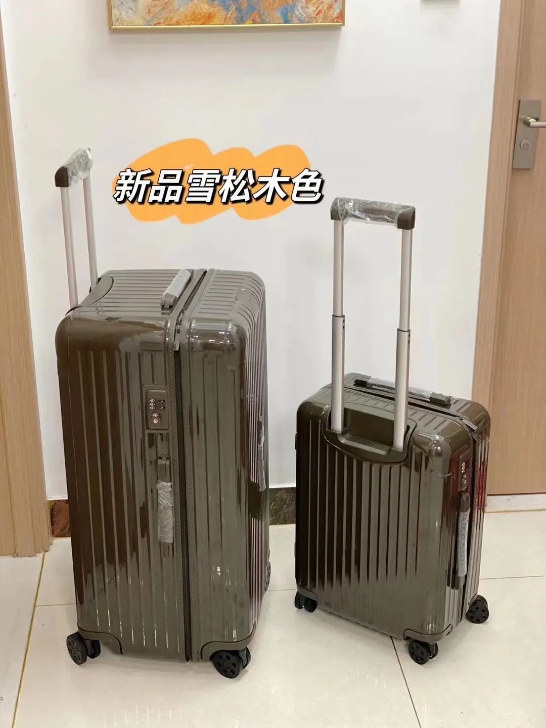 黑色 白色 Essential 系列 原Salsa的 行李箱 旅行拉杆款 輕便出行款