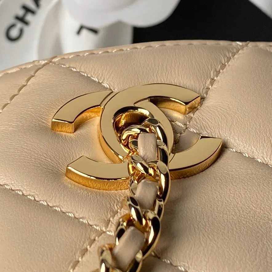 Gold Chain Bag