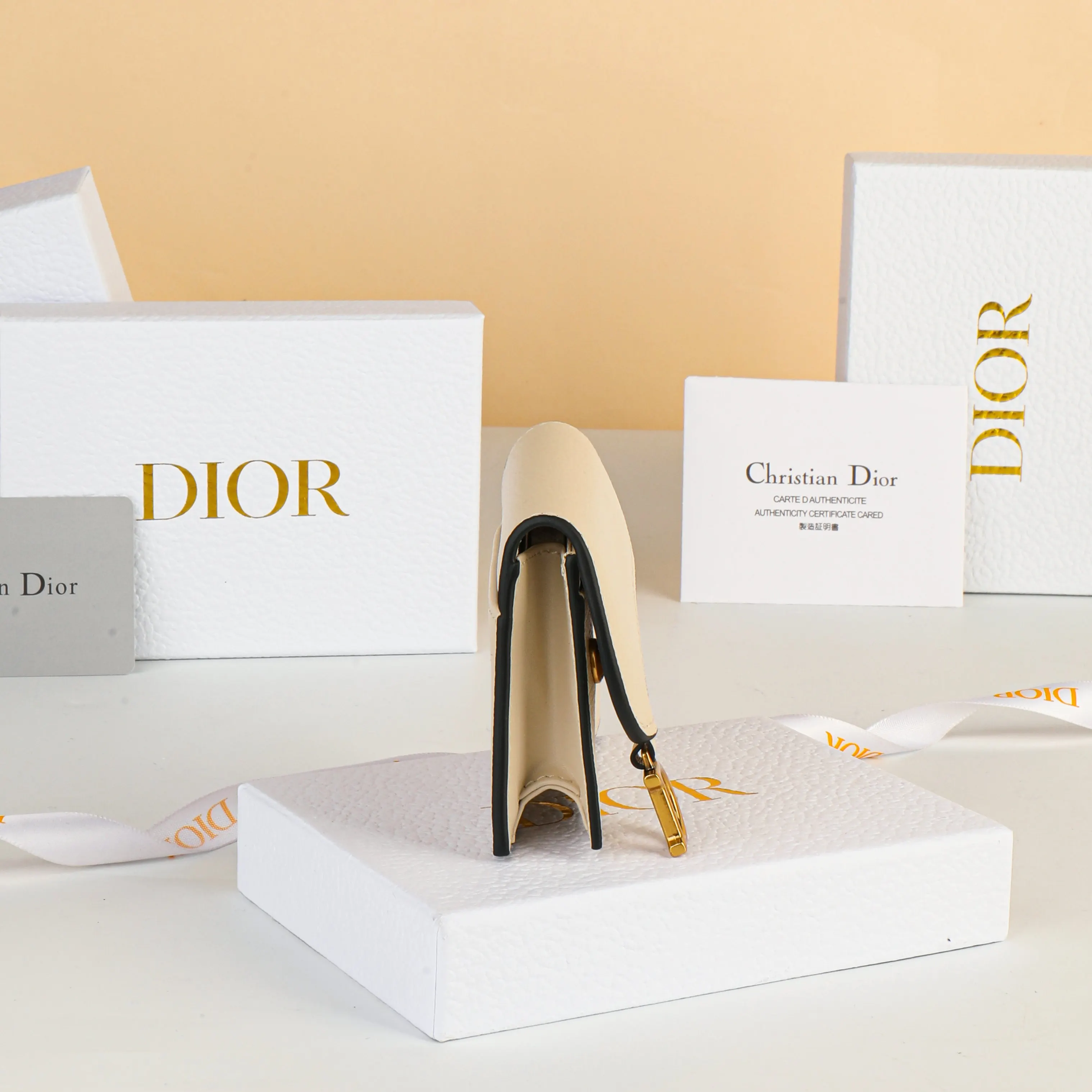 Dior Saddle 米色 皮革 钱包