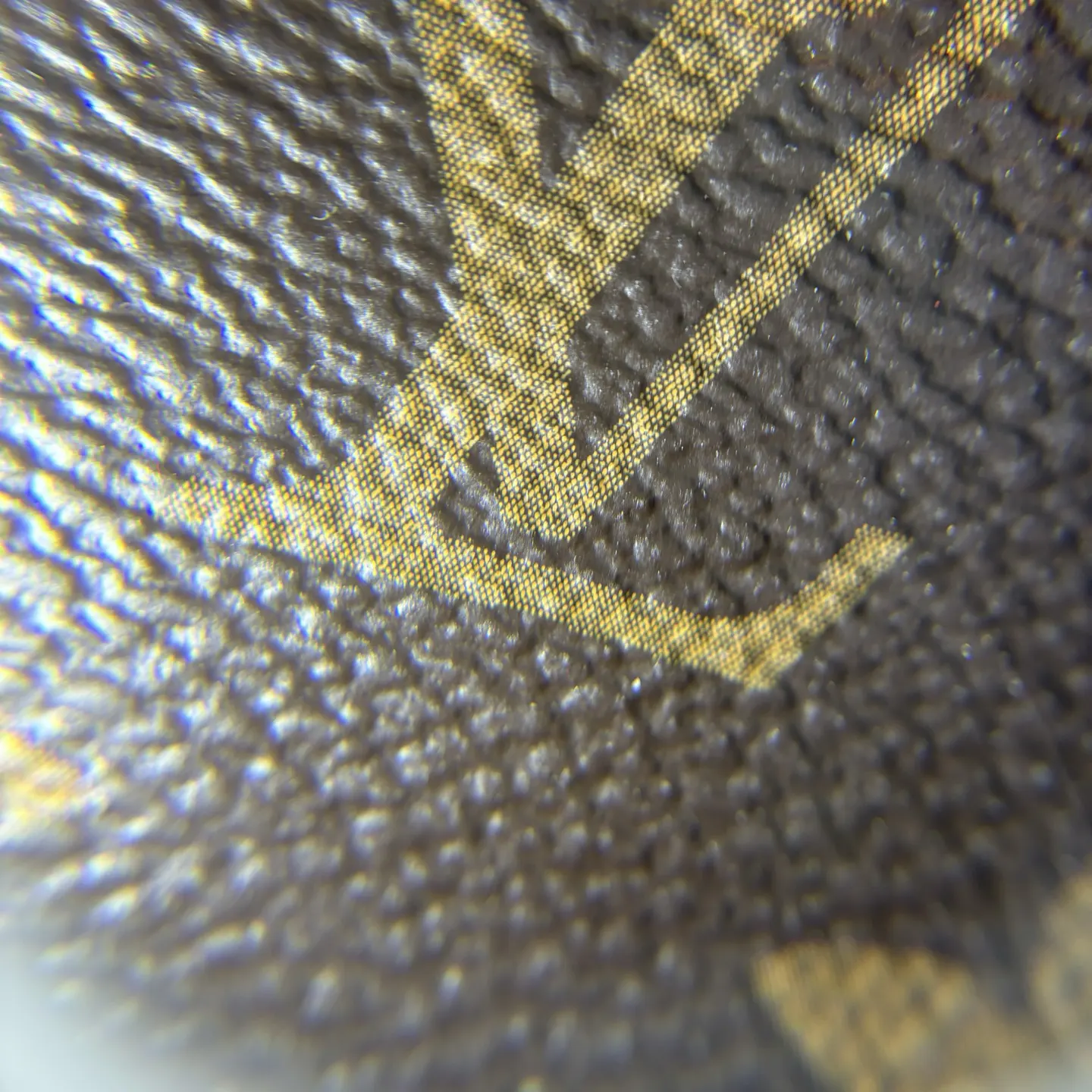 LV Speedy 牛皮 旅行包 大容量旅行款