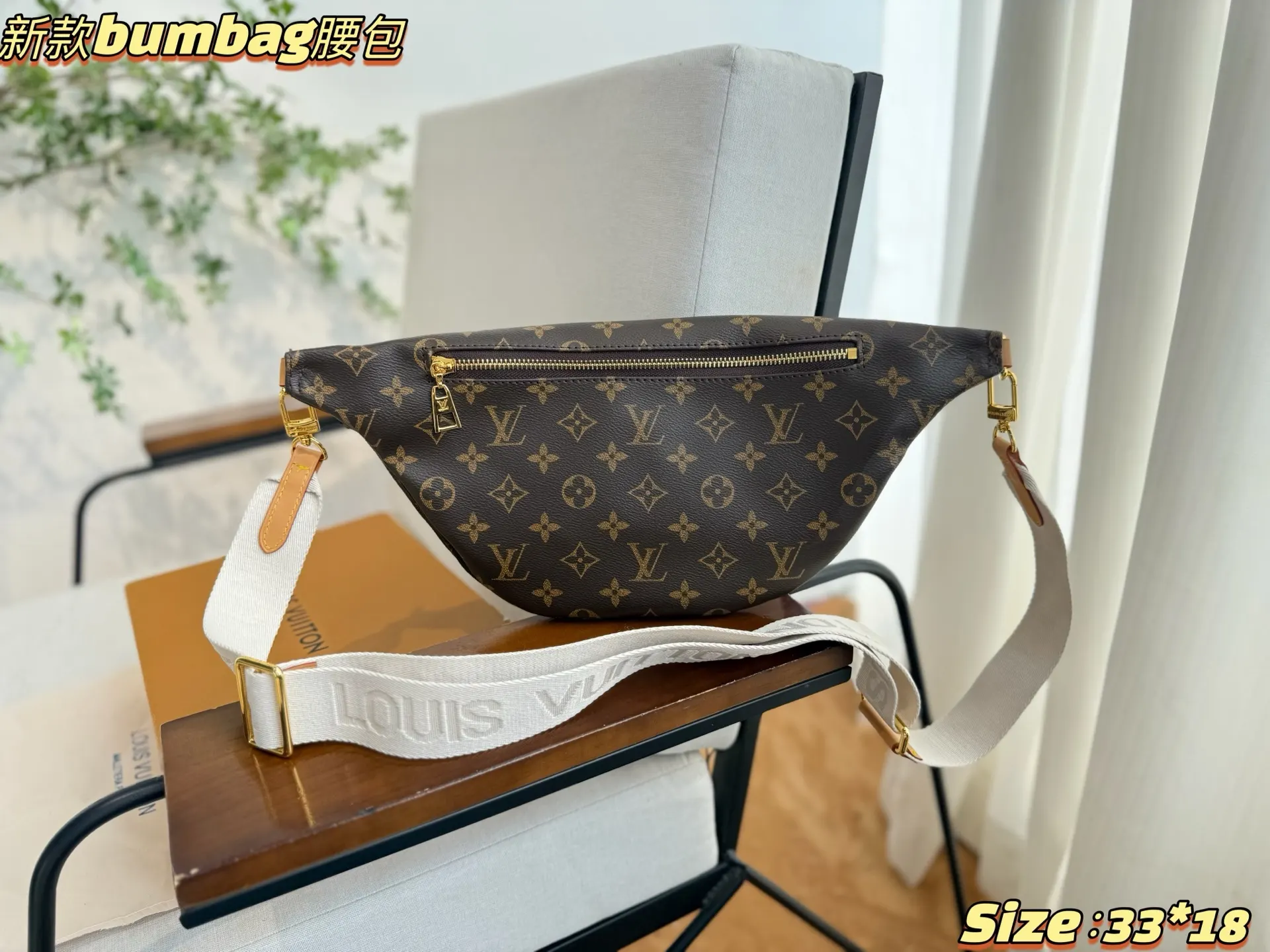Louis Vuitton Belt Bag Casual