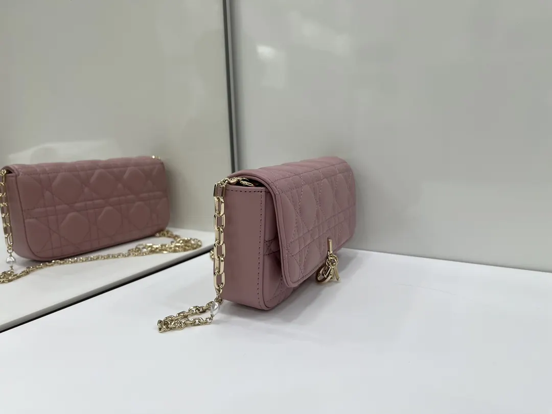 Dior Chain Bag