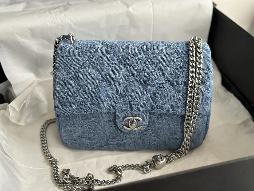 Silver Gold Chain Bag