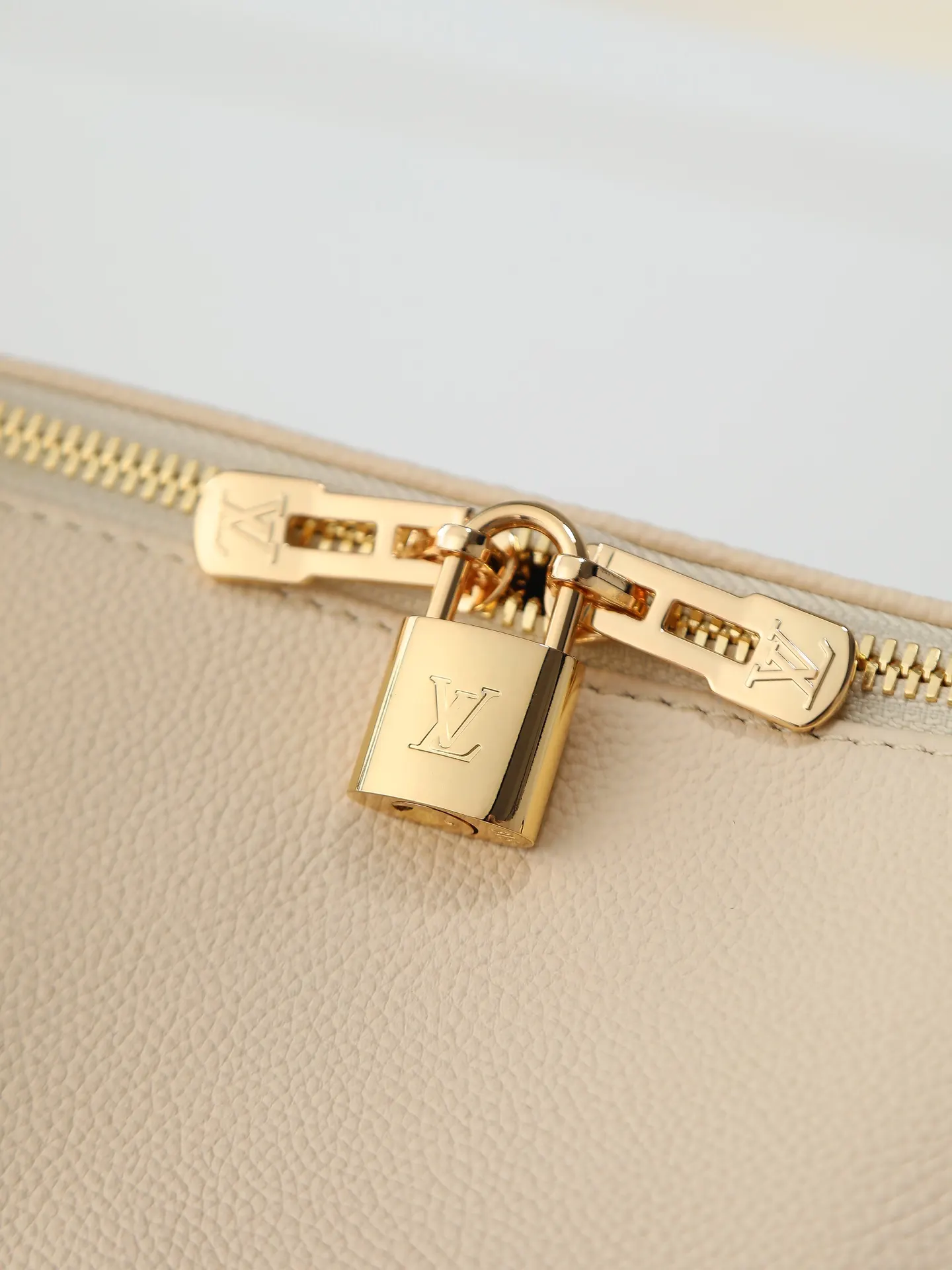 Louis Vuitton Fashion Item Travel Leather
