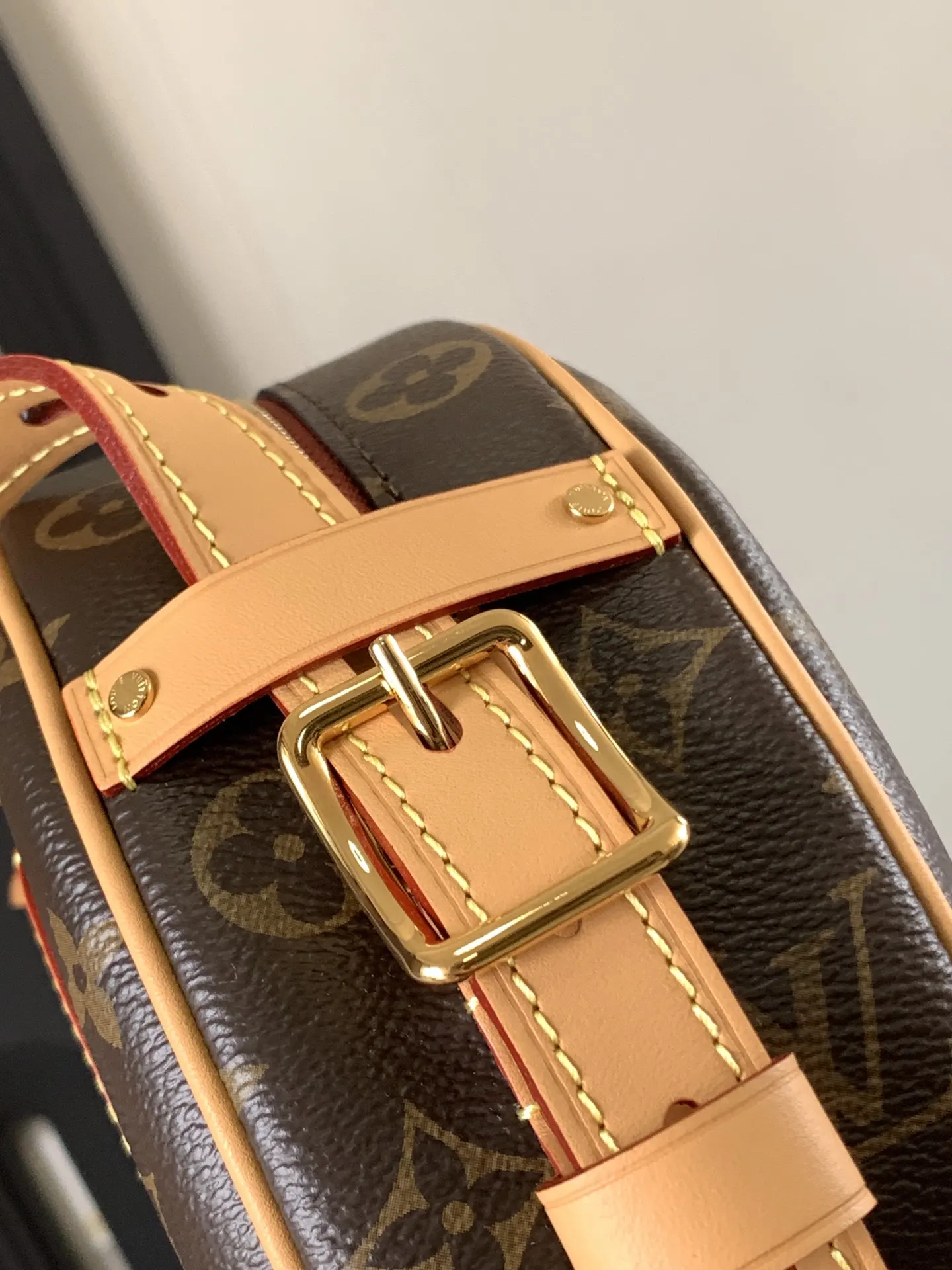 Louis Vuitton M45647 Crossbody Bag