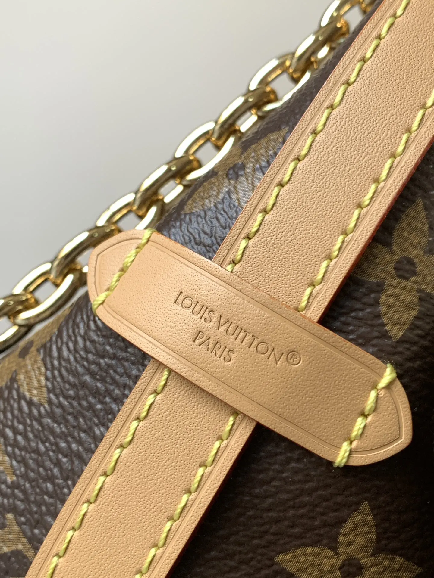 CarryAll 牛皮 链条包 精致链条款