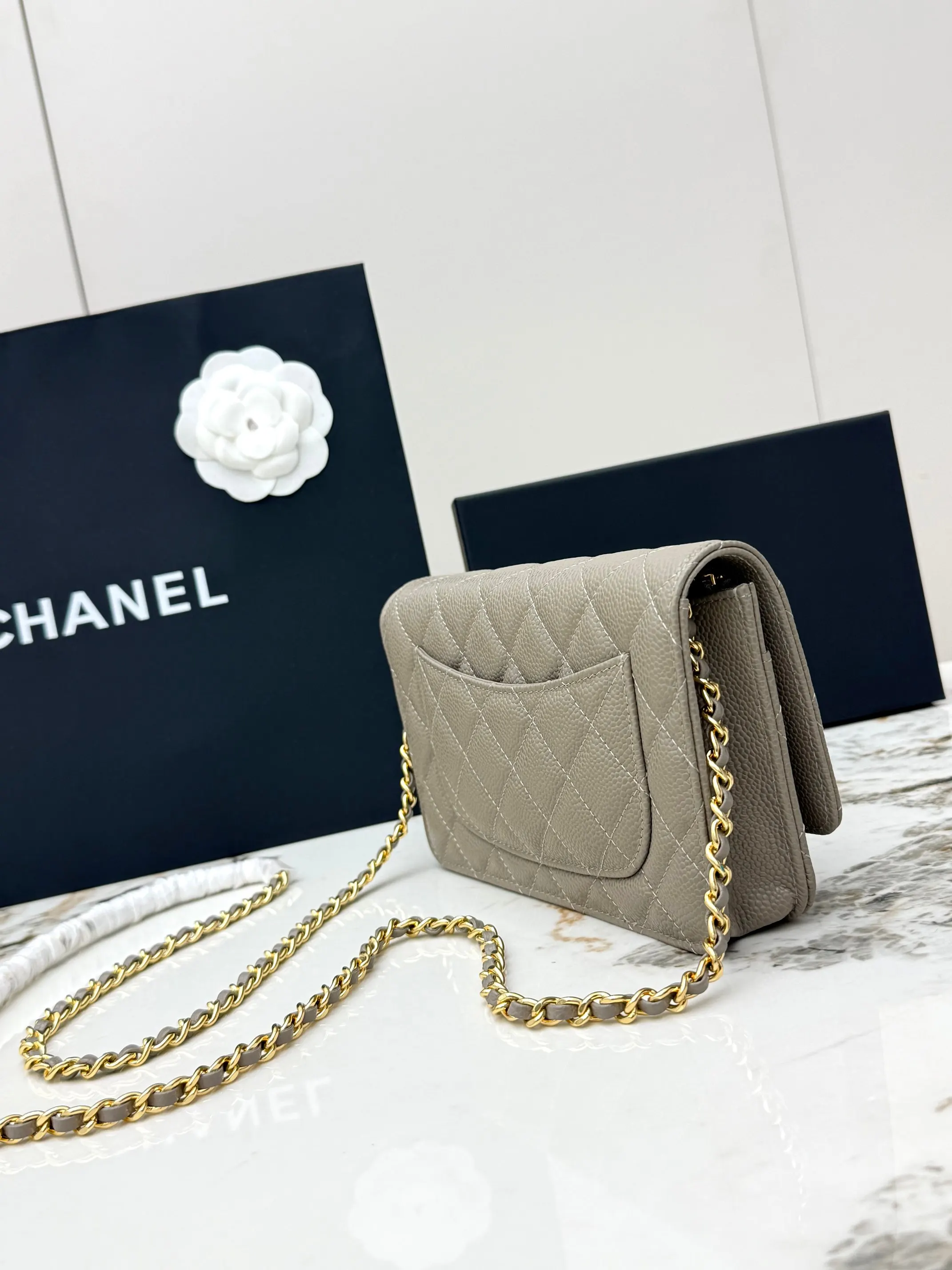 Chanel Chain Bag Leather