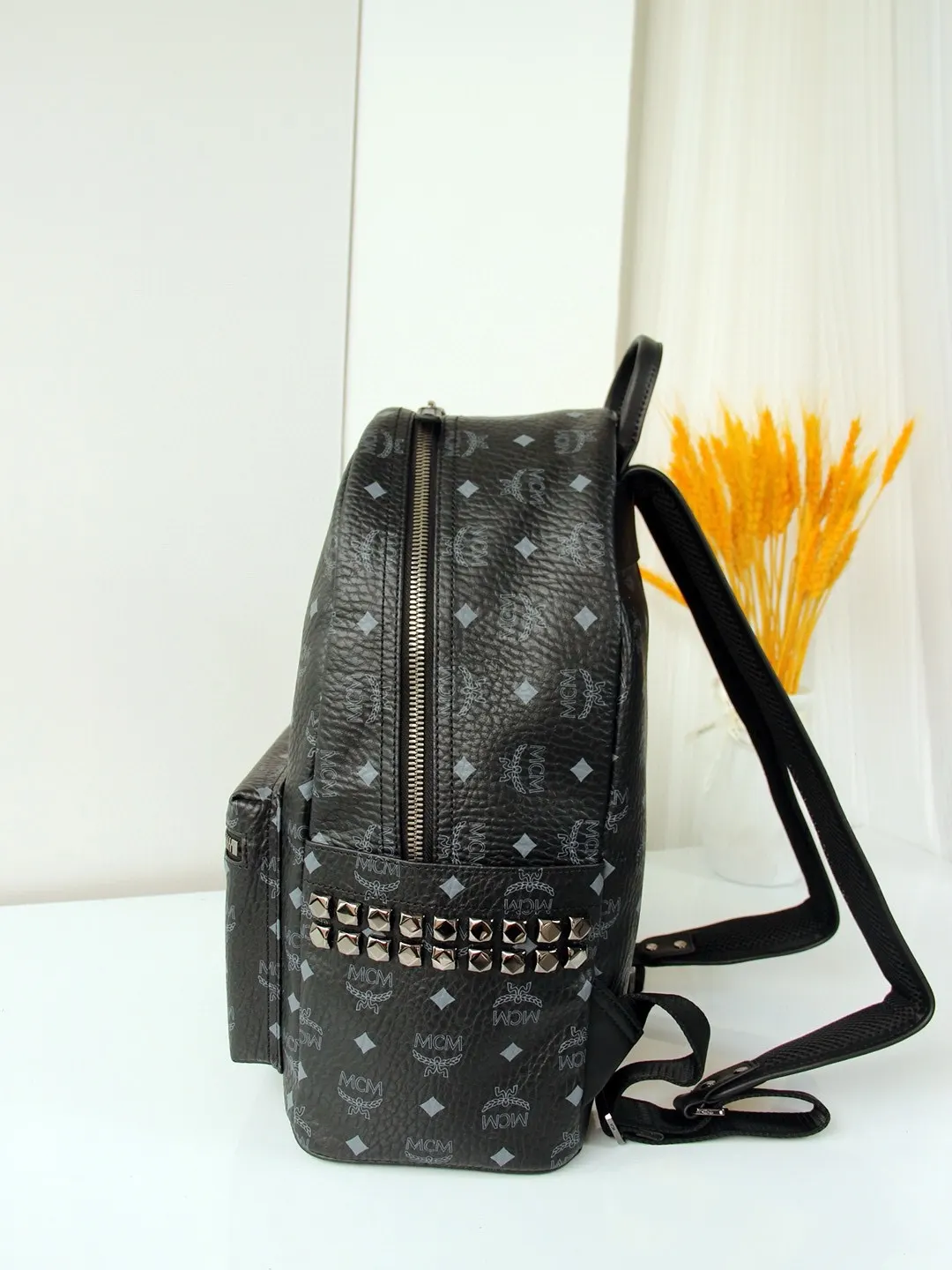 Backpack Canvas